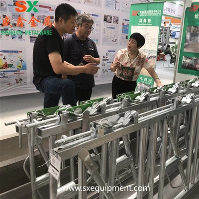 قفل رأس الماشية البقري في المزرعة